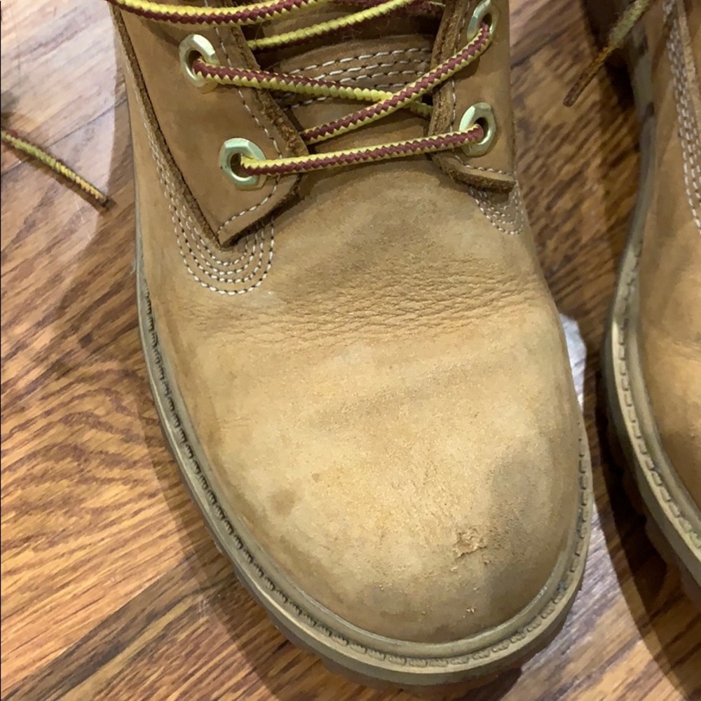 Timberlands - Picture 5 of 6